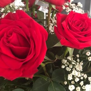 Meet your Posher, Erica